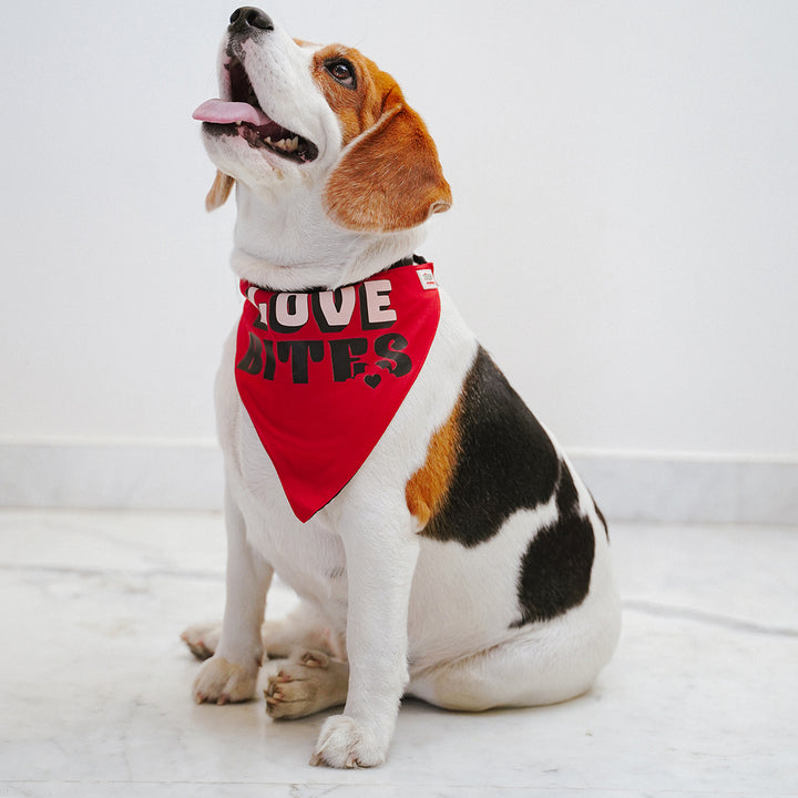 ZL Love Bites Dog Bandana