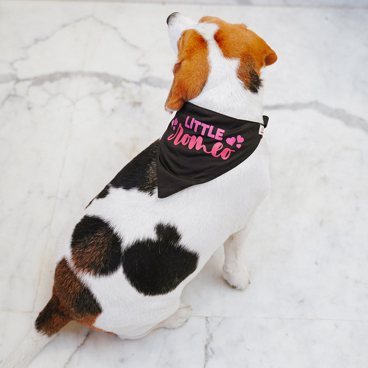 ZL Romeo Dog Bandana