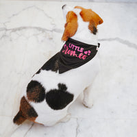 ZL Romeo Dog Bandana