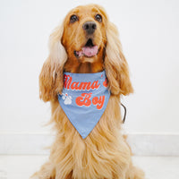 zl-mamas-boy-dog-bandana