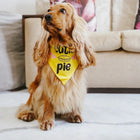 ZL Cutie Pie Dog Bandana - Zigly