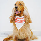 ZL Mama's Princess Dog Bandana - Zigly