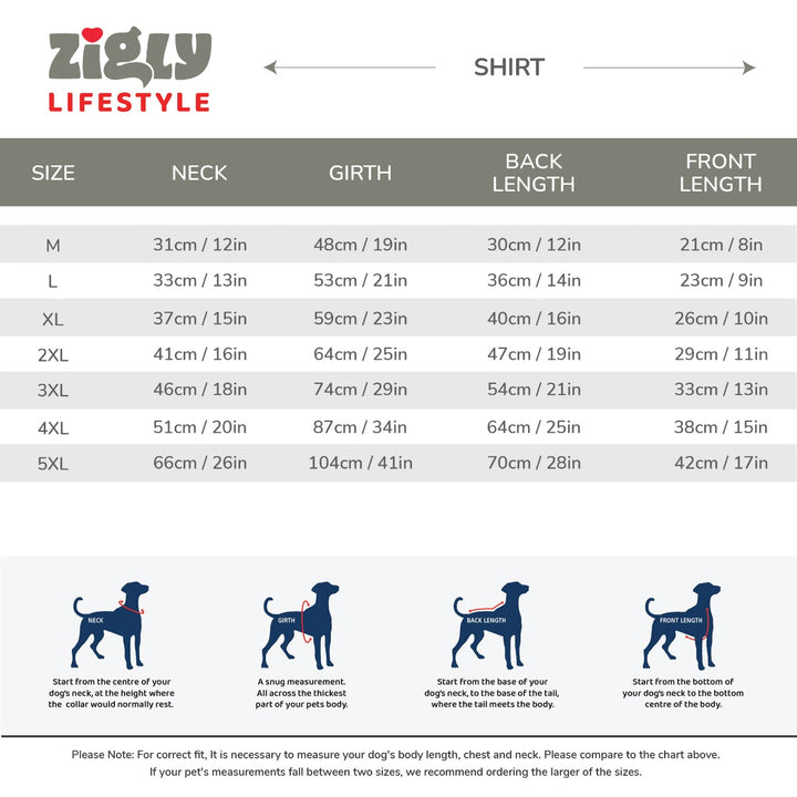 ZL Colourful Summer Splash Dog Shirt-Large