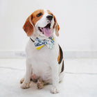 ZL Marble Print Ribbon Dog Bow Tie - Zigly