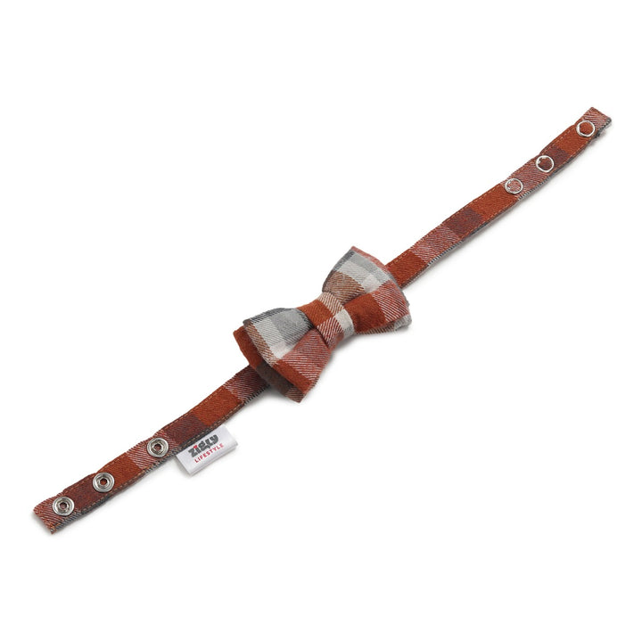 Zl Chocolatey Check Dog & Cat Bow-Tie-Small