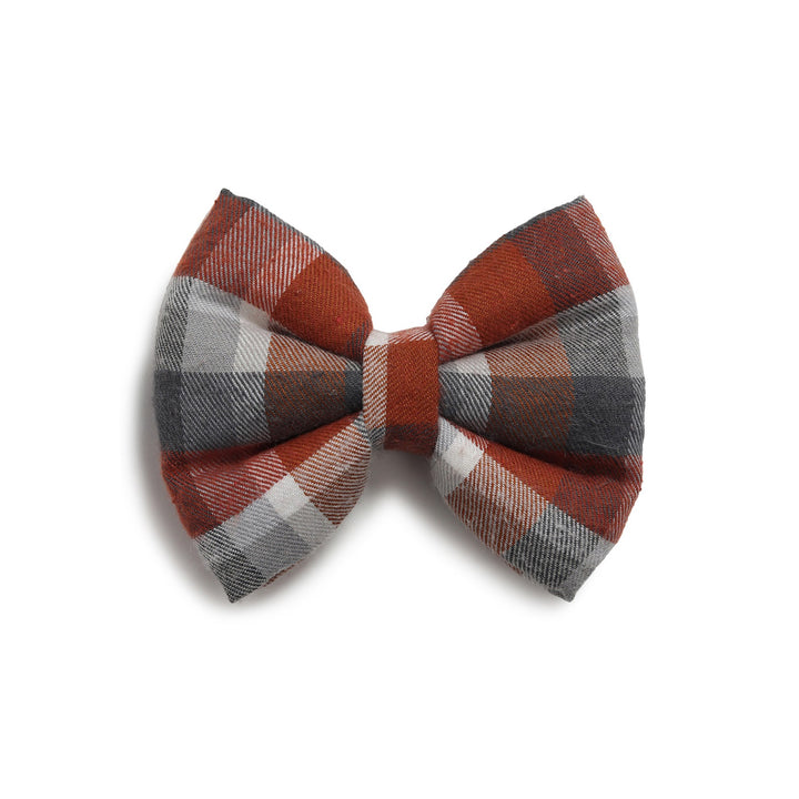 ZL Chocolatey Check Dog Bow Tie
