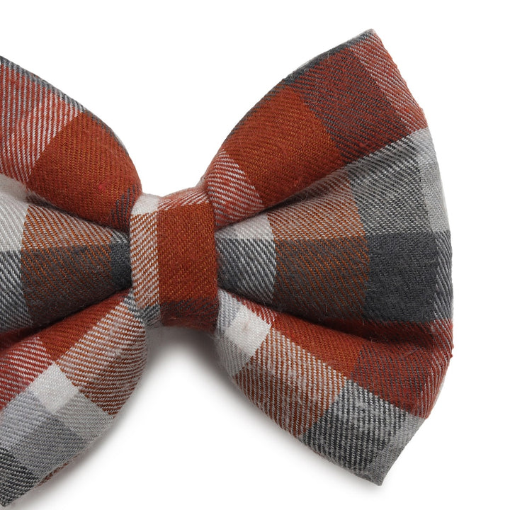 ZL Chocolatey Check Dog Bow Tie