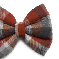 ZL Chocolatey Check Dog Bow Tie