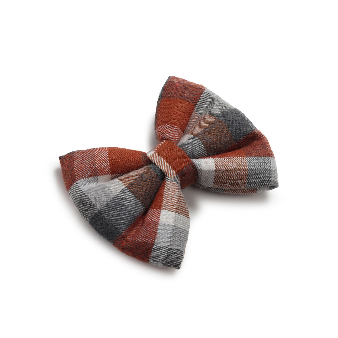 ZL Chocolatey Check Dog Bow Tie
