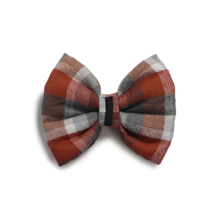 ZL Chocolatey Check Dog Bow Tie