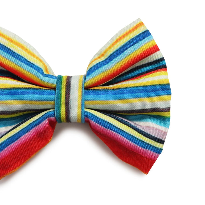 Beboji Stripy Trippy Dog Bow Tie
