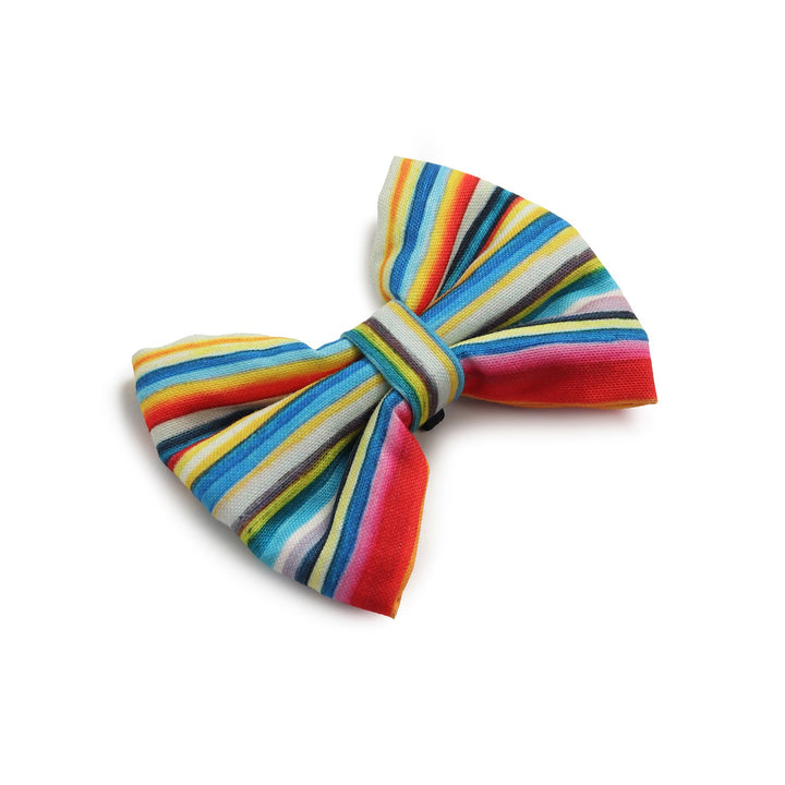 Beboji Stripy Trippy Dog Bow Tie