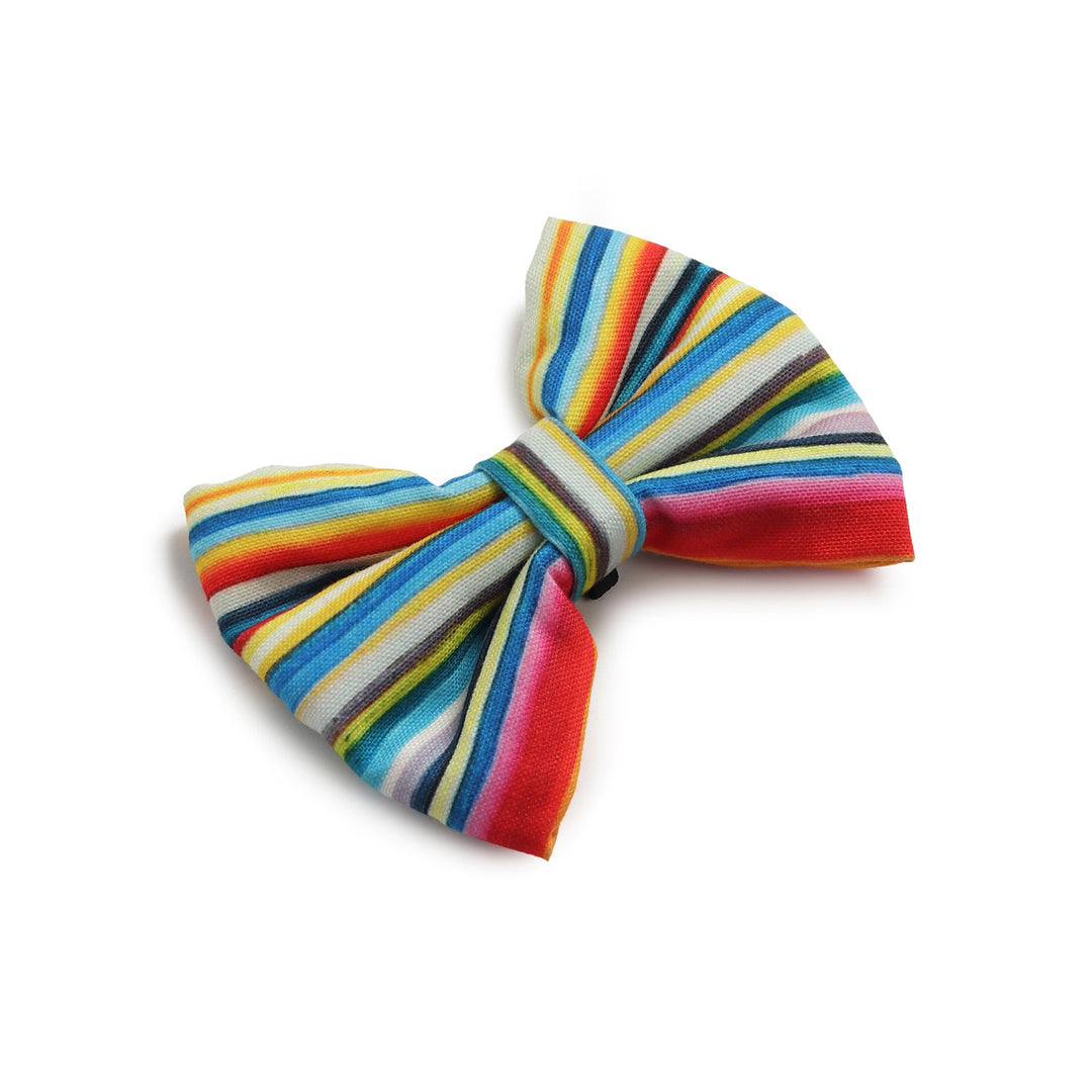 Beboji Stripy Trippy Dog Bow Tie