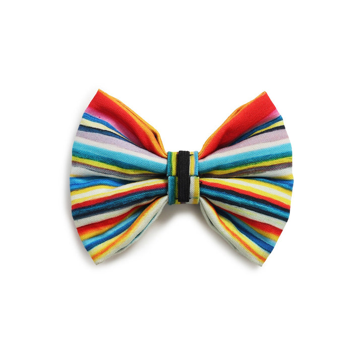 Beboji Stripy Trippy Dog Bow Tie