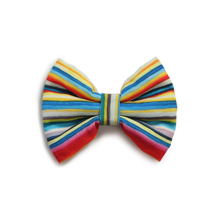 Beboji Stripy Trippy Dog Bow Tie