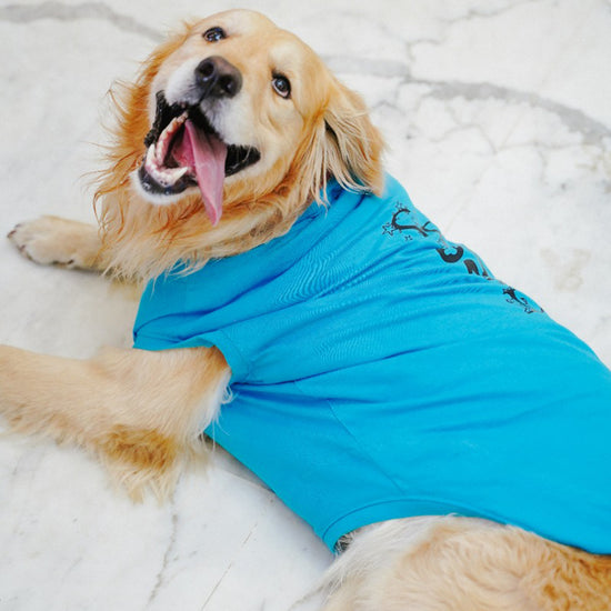 zl-pet-so-proud-dog-t-shirt-large
