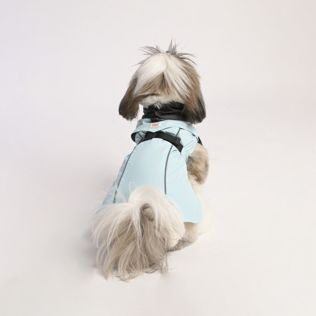 ZL Raincoat & Windcheater for Dogs - Blue