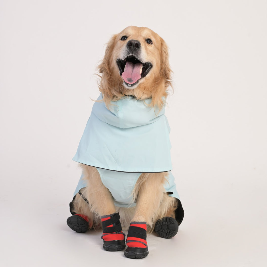 ZL Raincoat & Windcheater for Dogs - Blue
