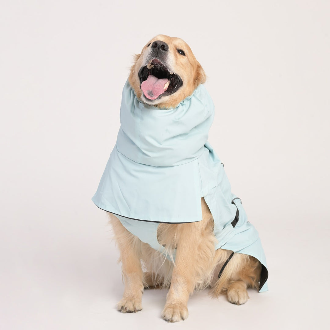 ZL Raincoat & Windcheater for Dogs - Blue