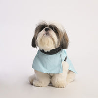 ZL Raincoat & Windcheater for Dogs - Blue