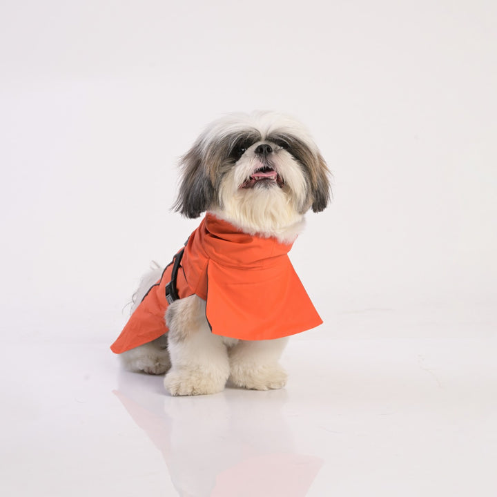 ZL Raincoat & Windcheater for Dogs - Apricot