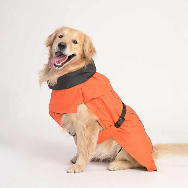ZL Raincoat & Windcheater for Dogs - Apricot