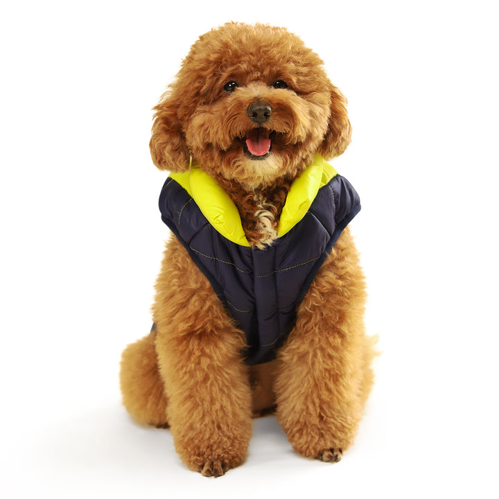 ZL Light & Shinny Wintery Dog Jacket