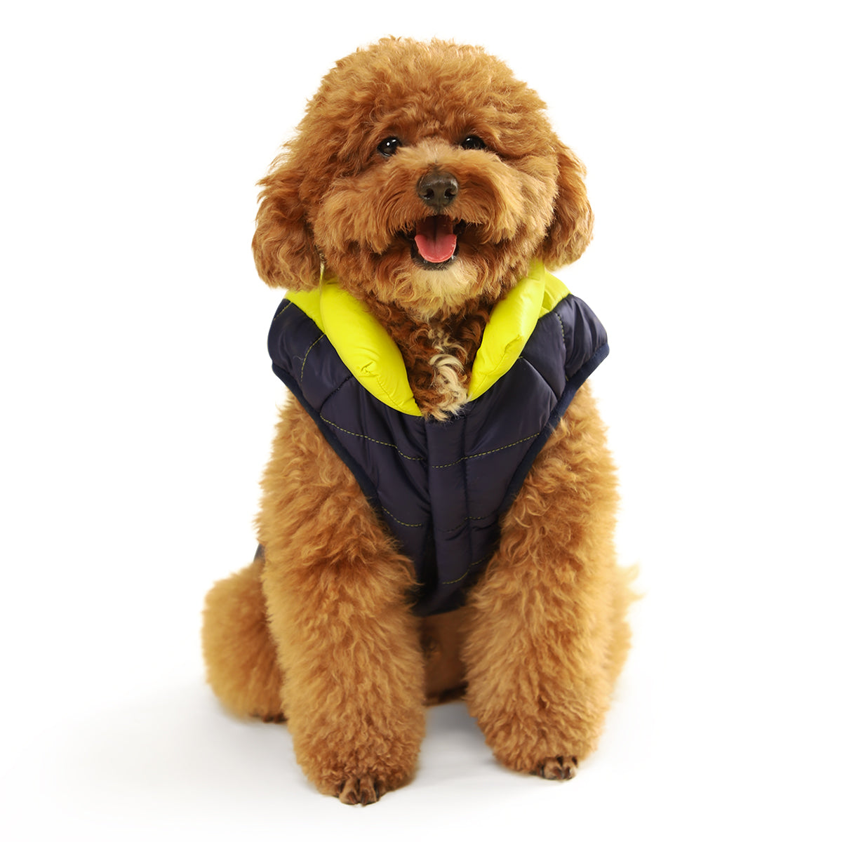 ZL Light & Shinny Wintery Dog Jacket