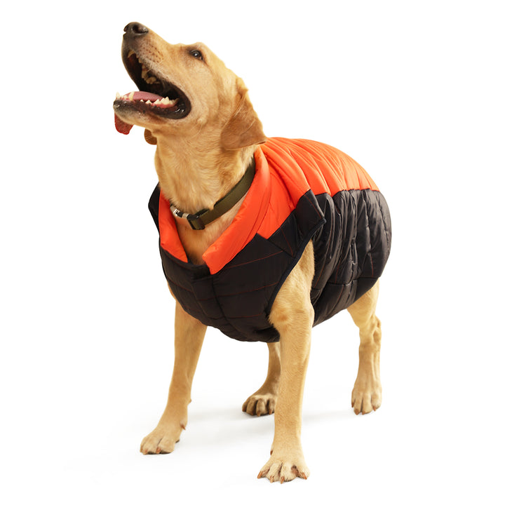 ZL Snowy & Cozy Wintery Dog Jacket