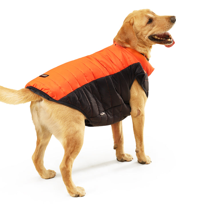 ZL Snowy & Cozy Wintery Dog Jacket