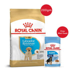 Royal Canin Labrador Puppy Dry Food 200g + Maxi Puppy Wet Pouch 140g - Zigly