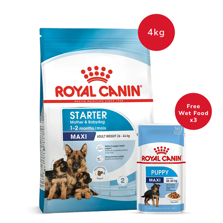 Royal Canin Maxi Starter Dry Dog Food - 4 kg + Royal Canin Maxi Puppy Wet Dog Food (140 gm x 3)