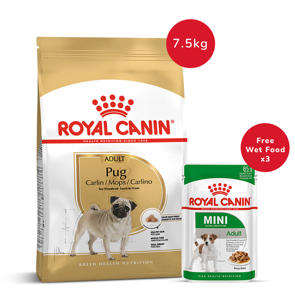 Royal Canin Pug Adult Dry Dog Food-7.5 kg + Mini Adult Wet Dog Food - (85gm x 3)