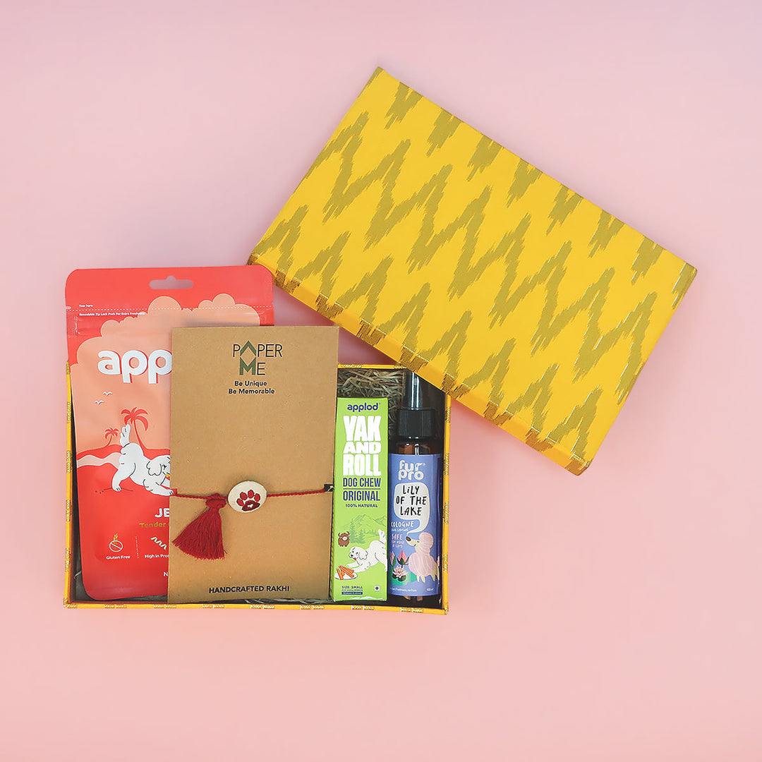 Zigly Lifetime Paw-mise Dog Rakhi Hamper
