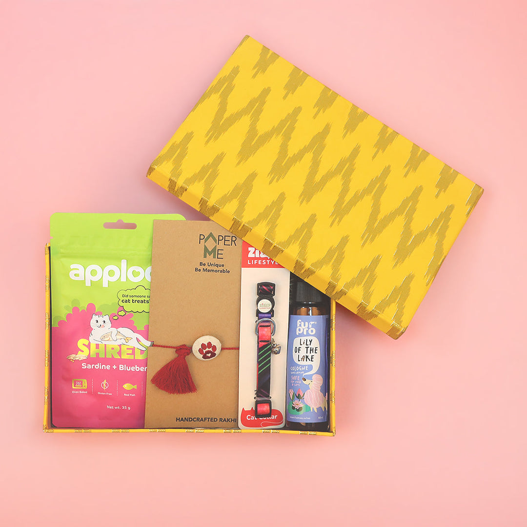 Zigly Lifetime Paw-mise Cat Rakhi Hamper