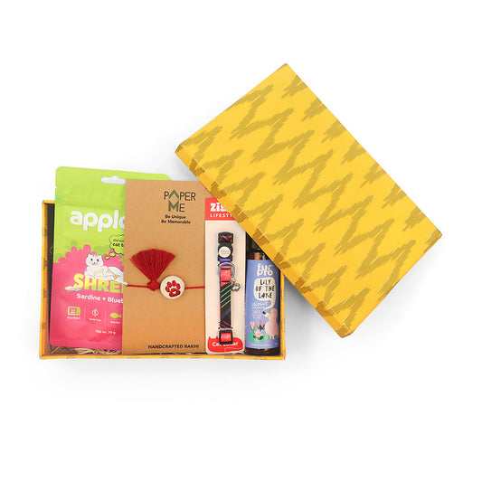 Zigly Lifetime Paw-mise Cat Rakhi Hamper