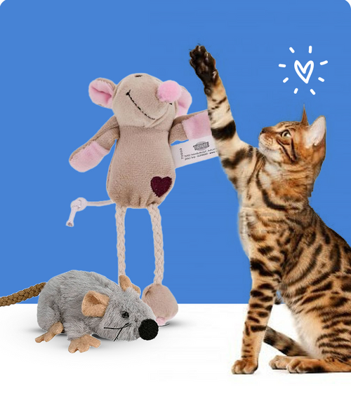 files/Plush-Toys_650X765_a92d7480-cd21-4c64-be85-8d7de948c465.png