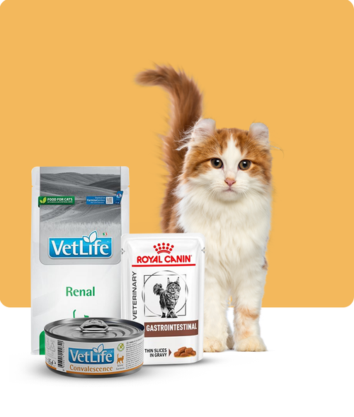 files/Prescription-food_650X765_fb698c01-24b2-4f0d-996e-164abb4d300d.png