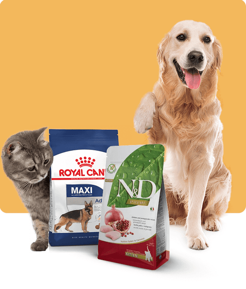 files/Product-Category_650X765_7ba82a6b-808a-4eed-8a7e-1fcd2acdffa8.png