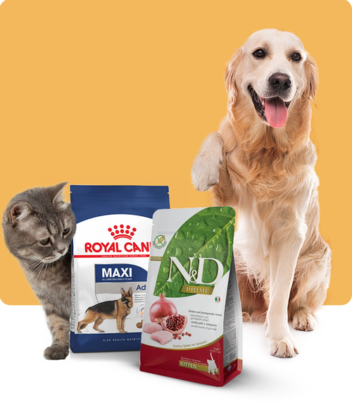 files/Product-Category_650X765_7ba82a6b-808a-4eed-8a7e-1fcd2acdffa8.png