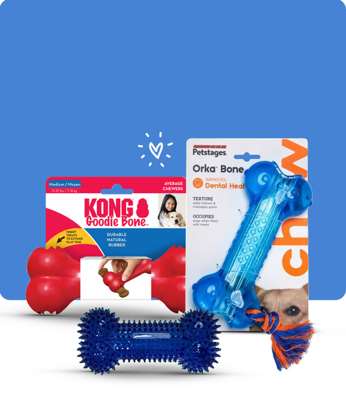files/Puppy-Toys_650X765_f323ade7-a6ec-4810-a8d8-d1b3c985f34a.png