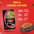Purina Supercoat Puppy Dry Food Chicken