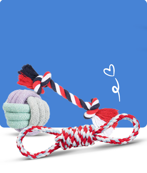 files/Rope-Toys_650X765_405c8d37-7e8d-4742-a548-c97df62f5658.png