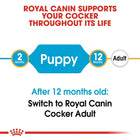Royal Canin Cocker Puppy Dry Dog Food