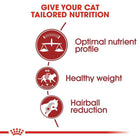 Royal Canin Fit 32 Dry Cat Food - All Breed Adult