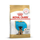 Royal Canin German Shepherd Puppy Dry Dog Food