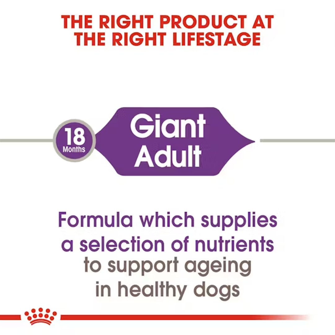 Royal Canin Giant Adult Dry Dog Food
