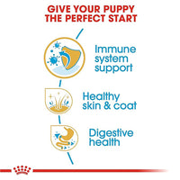 Royal Canin Golden Retriever Puppy Dry Dog Food