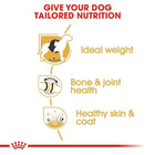Royal Canin Labrador Retriever 5+ Years Adult Dry Dog Food