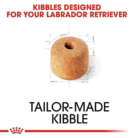 Royal Canin Labrador Retriever 5+ Years Adult Dry Dog Food